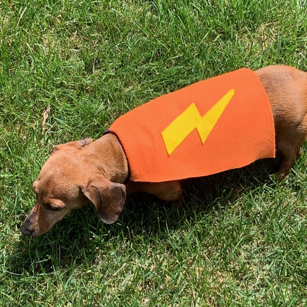 Make superhero capes for dogs to donate