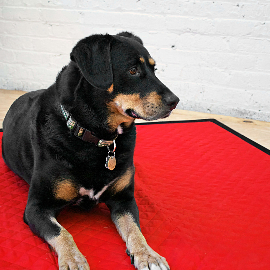 DIY Dog Blankets from Pre-Quilted Fabric