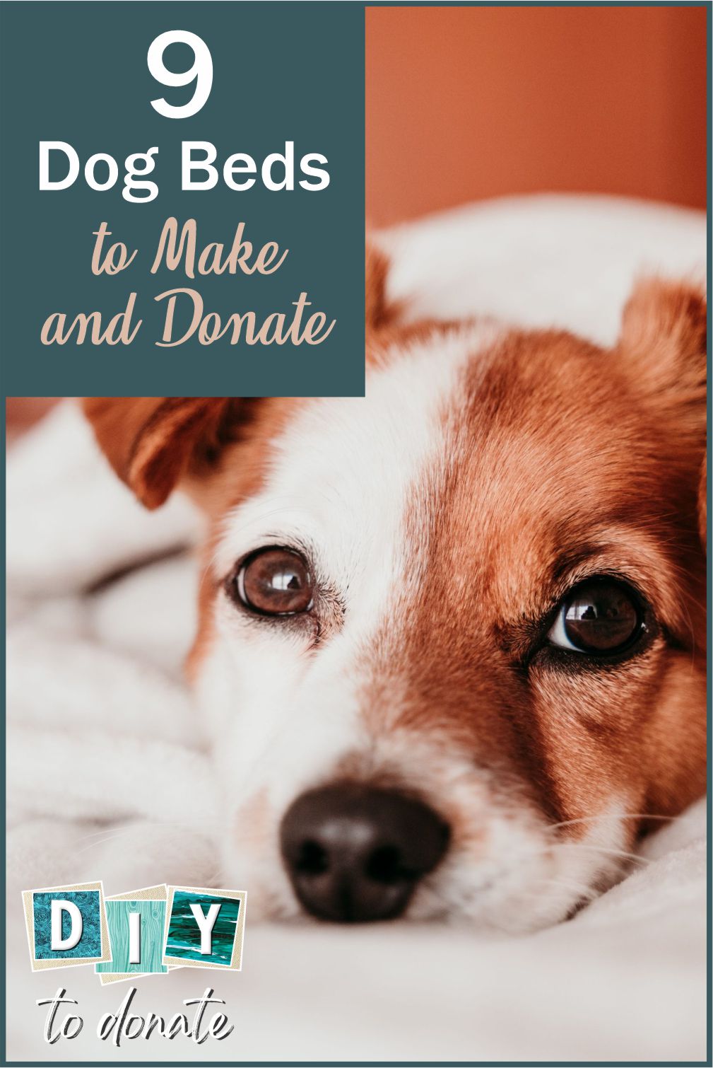 Donating dog beds best sale