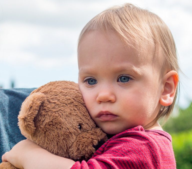 where to donate used teddy bears